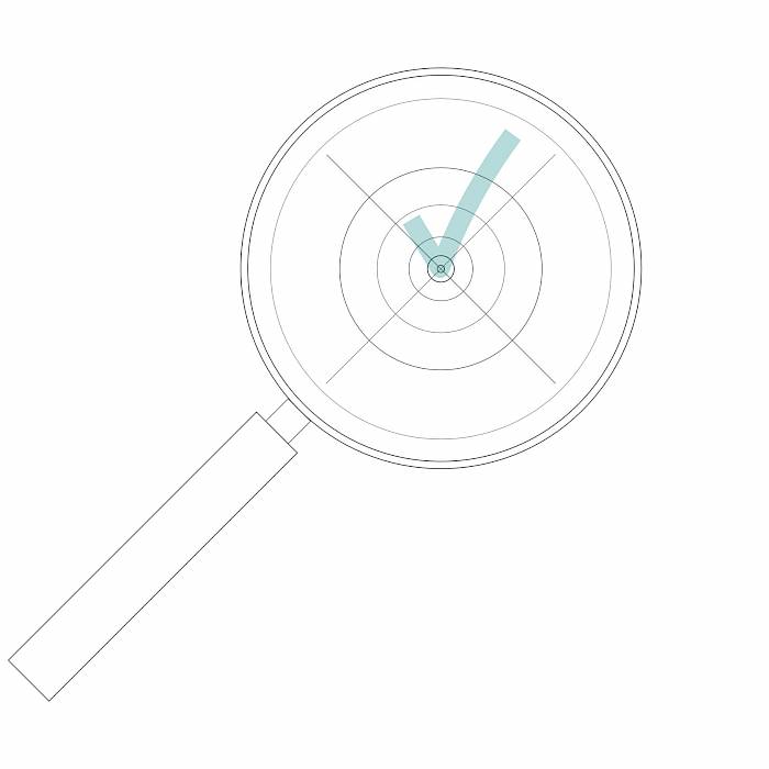 GoPhygital-lupe-mit-checkmark